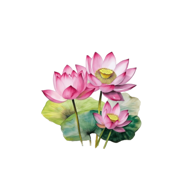 Watercolour Lotus