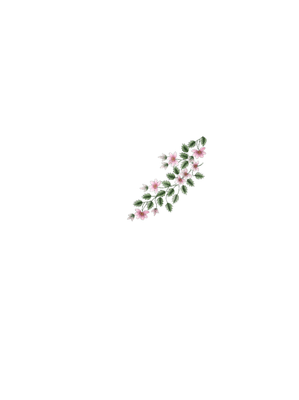 Simple Floral Design Back
