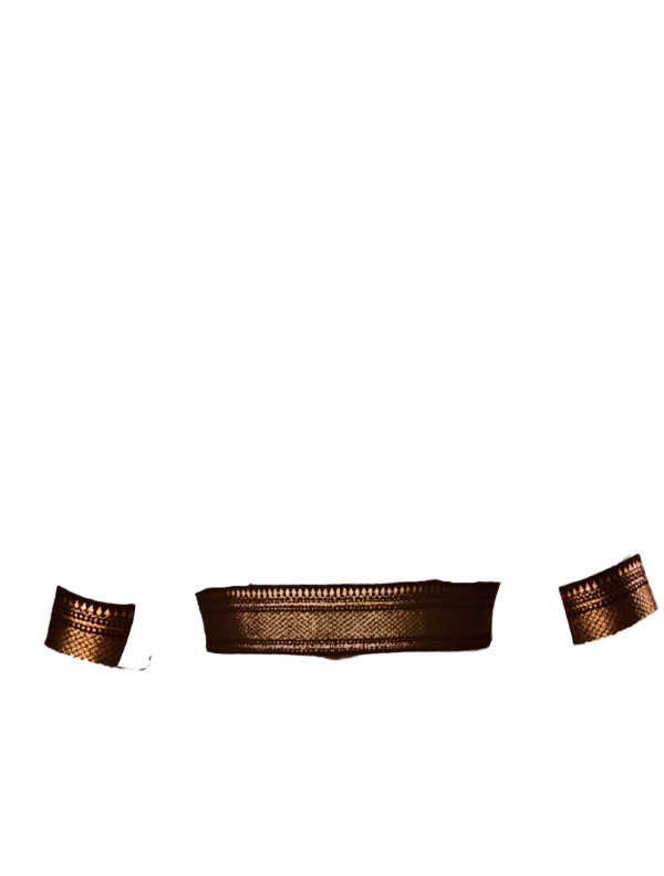 black broad zari border back