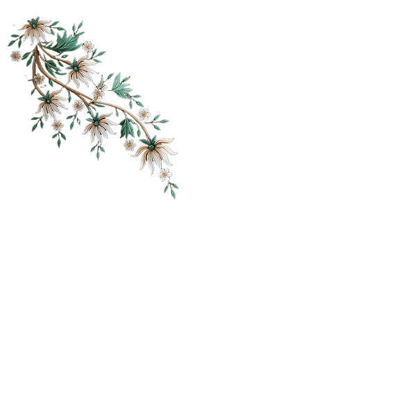 Green White Floral Front