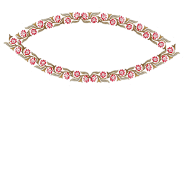 front pinkflowervine