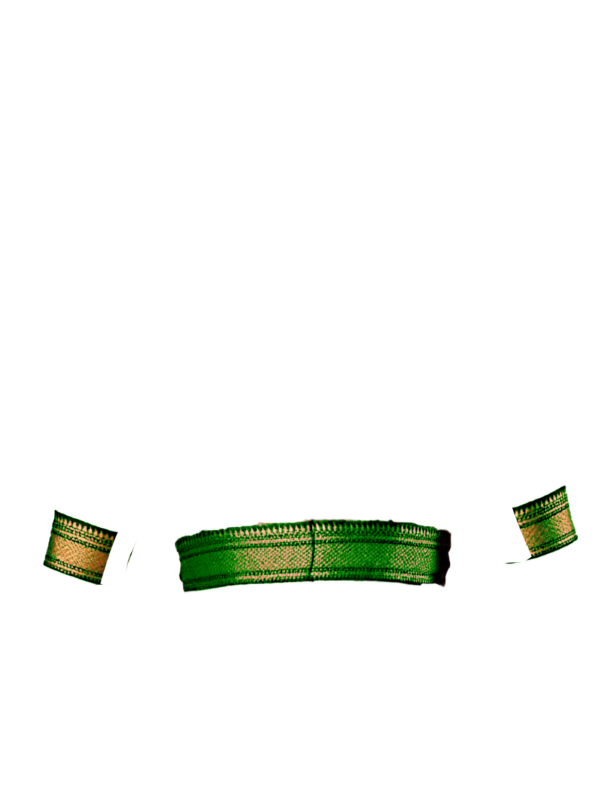 green broad zari border front