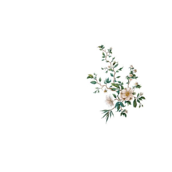 Green Botanical Back