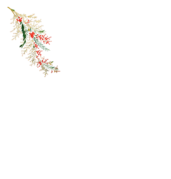 Red White Shrubs Front