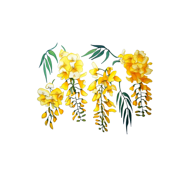 hanging flowers back