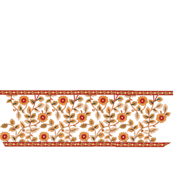 kalamkari border cream horizontal sleeve left