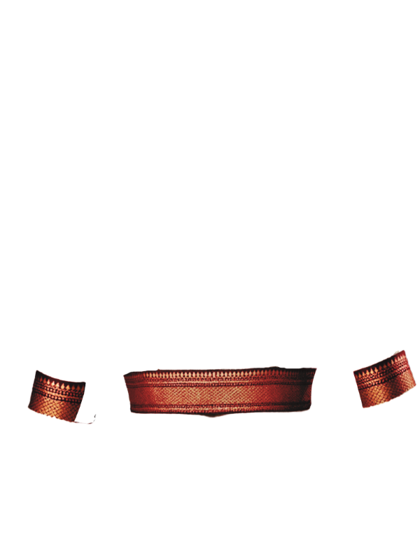 maroon broad zari border back