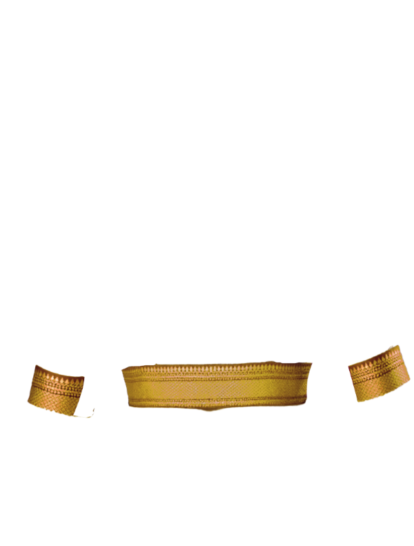 mustard broad zari border back