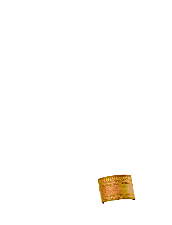 mustard broad zari border sleeve left