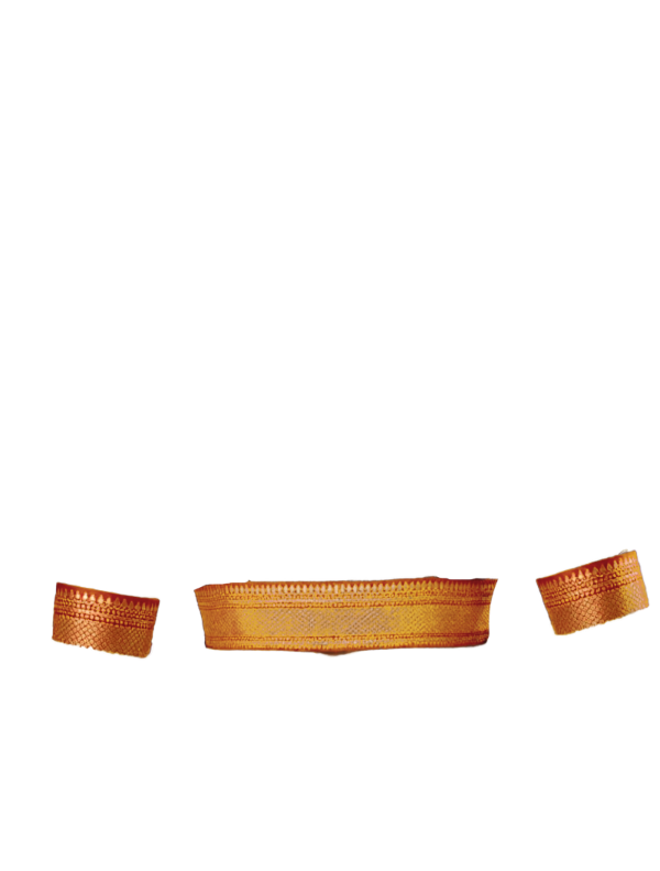 orange broad zari border back