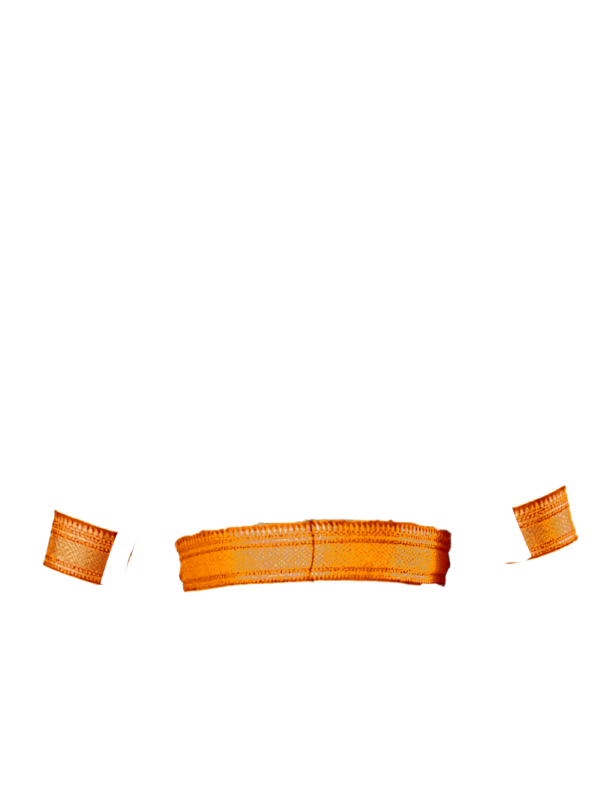 orange broad zari border front
