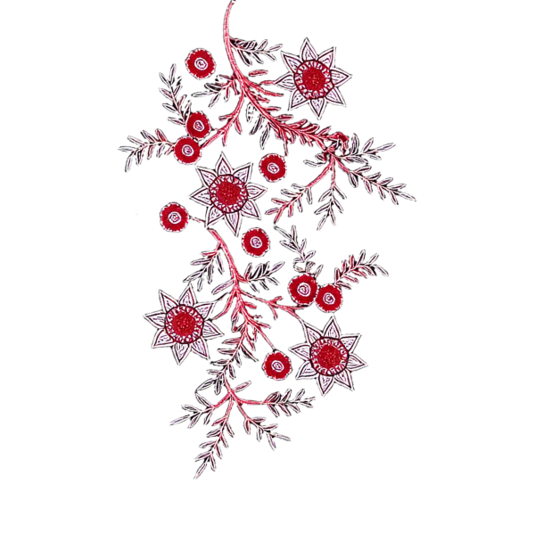 Peacock Vine Red Sleeve Left