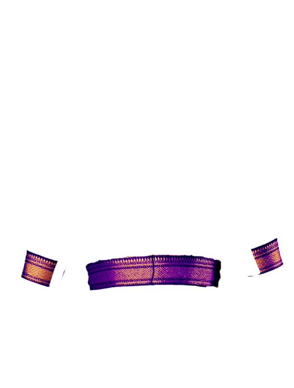 purple broad zari border front