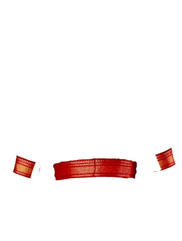 red broad zari border front