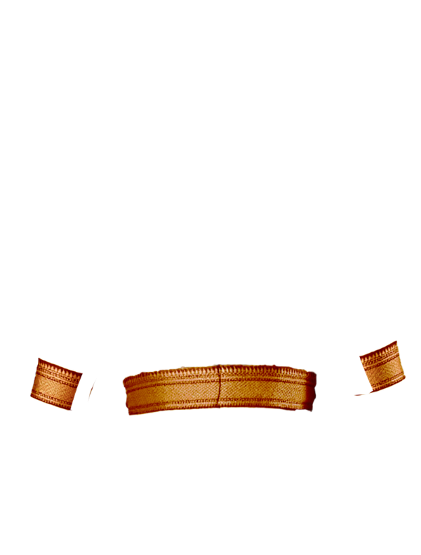 rust broad zari border front