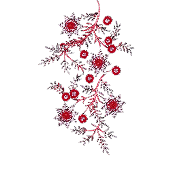 Peacock Vine Red Sleeve right