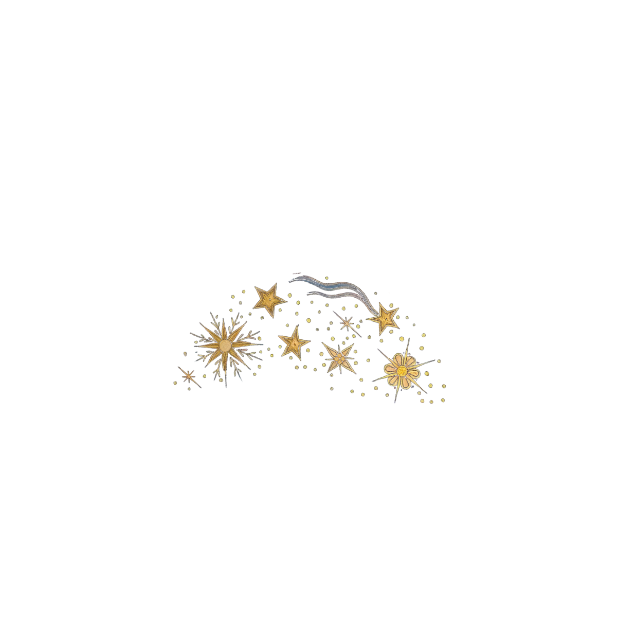 stars sleeve right