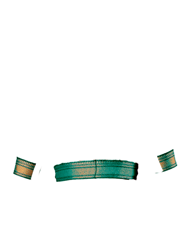 teal broad zari border front